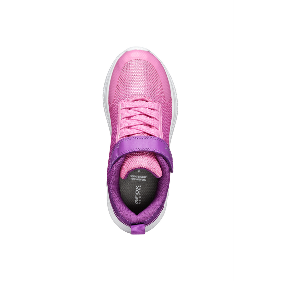 Geox - J Sprintye - Purple/Dark Pink - Trainers