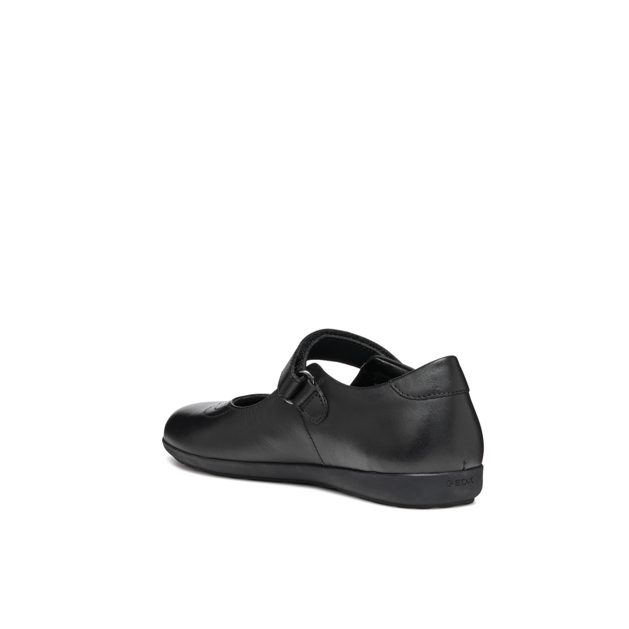 Geox - J Iberide - Black - School Shoes