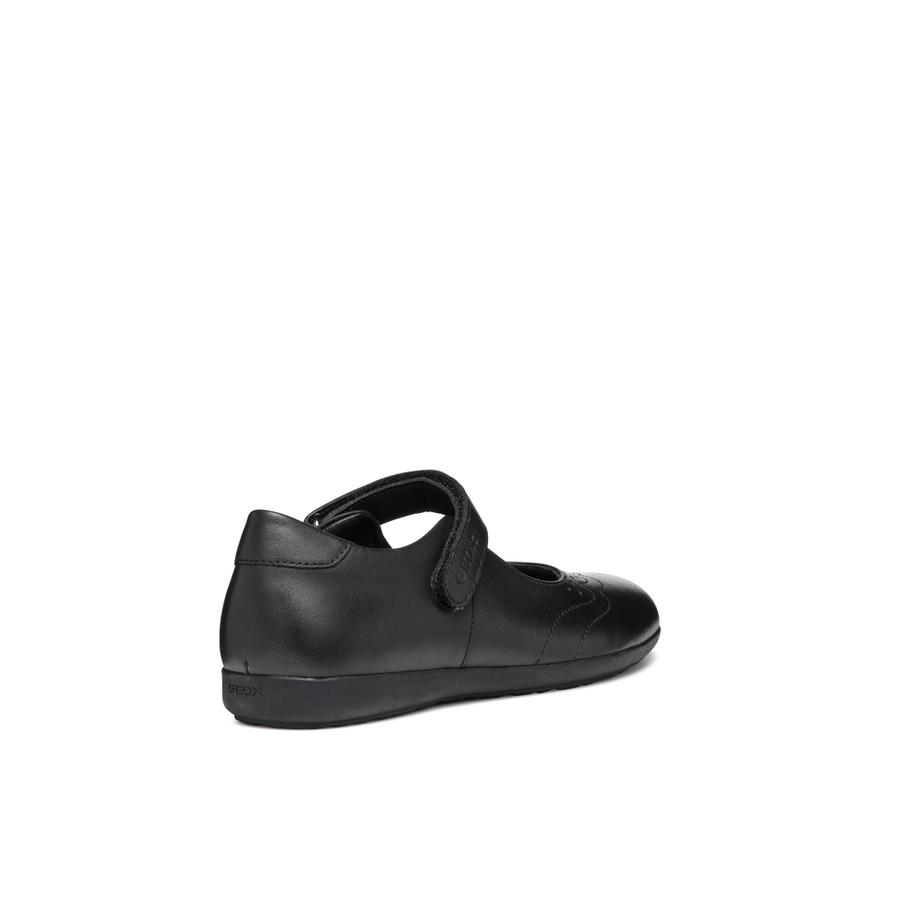 Geox - J Iberide - Black - School Shoes