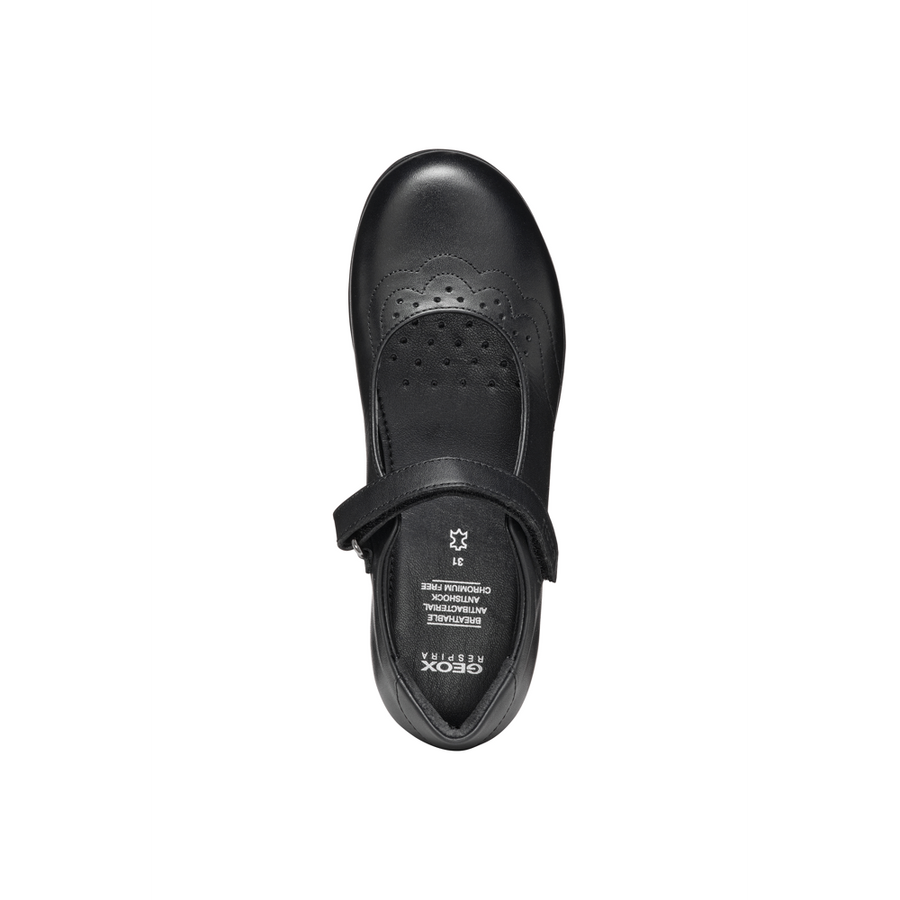 Geox - J Iberide - Black - School Shoes